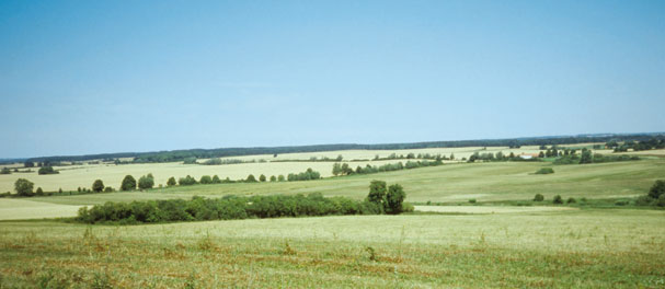 Den Blick schweifen lassen. Den Blick schweifen lassen.