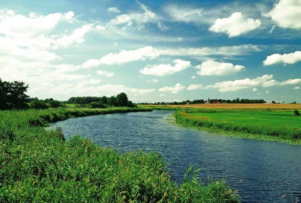 Bootsurlaub an Bord einer Motoryacht auf der Peene © Yachtcharter Schulz