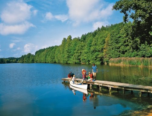 Wanderurlaub an der Mecklenburgischen Seenplatte - Wandern im Müritz Nationalpark | SEENLAND ...