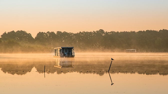 Nebel über dem Wasser und ein Bunbo mitten drin.